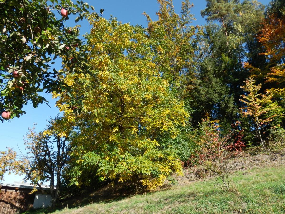 Naturoase Muehlviertel Sankt Johann am Wimberg Екстериор снимка