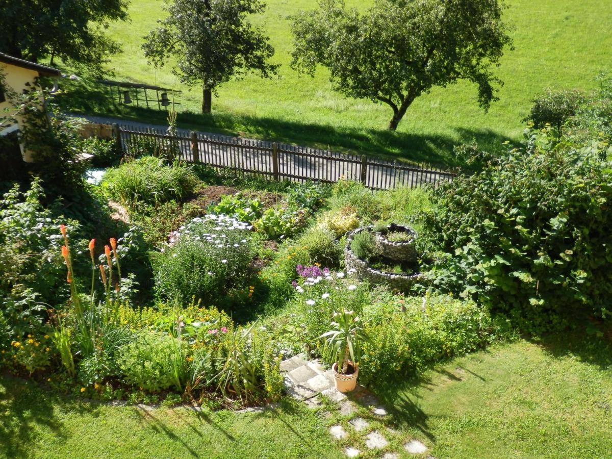 Naturoase Muehlviertel Sankt Johann am Wimberg Екстериор снимка